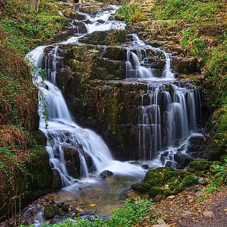Maison Voie Verte Bed & Breakfast