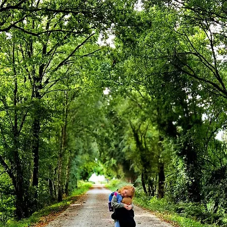 Maison Voie Verte Bed & Breakfast Bion