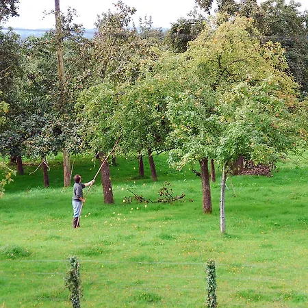 Bed & Breakfast Maison Voie Verte Bion