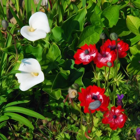 Maison Voie Verte 3* Bion