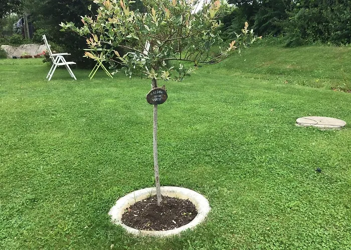 Maison Voie Verte Bed & Breakfast Bion