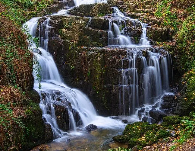 Maison Voie Verte Bed & Breakfast