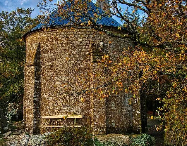 Maison Voie Verte לינה וארוחת בוקר Bion