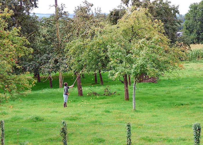 Bed & Breakfast Maison Voie Verte Bion