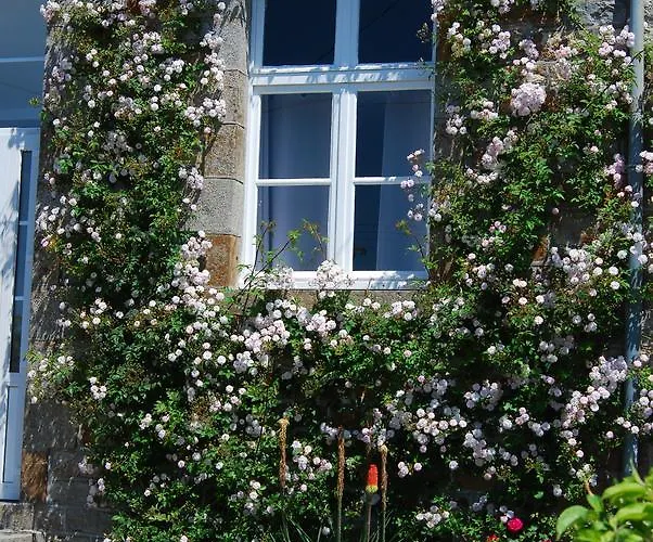 Maison Voie Verte 3* Bion