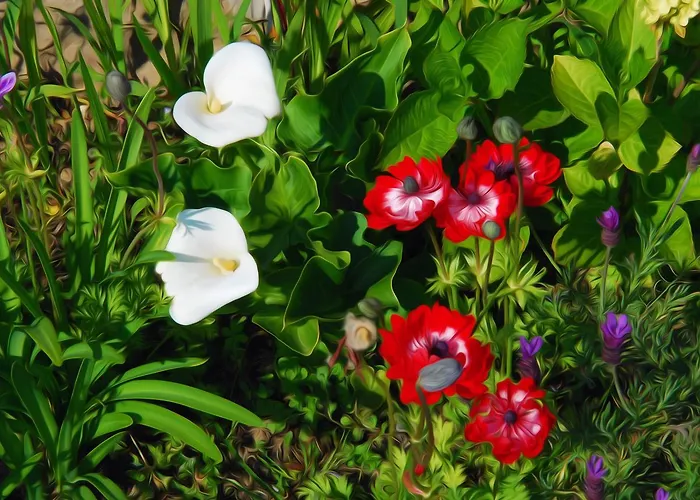 Maison Voie Verte 3* Bion